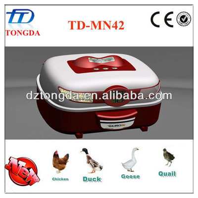 automatic bird egg mini incubator-predeterminer